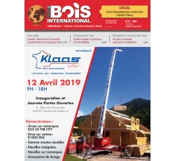 bois_international_grue_sur_remorque.jpg