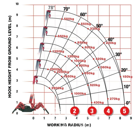 minigrue-araignée - Klaas spider diagramme 